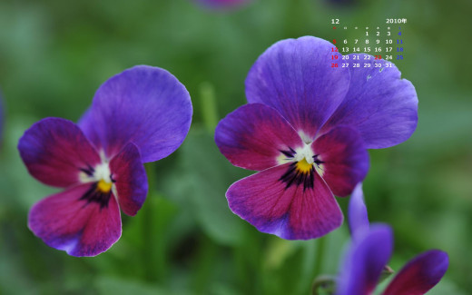502587 (a): :1920x1200